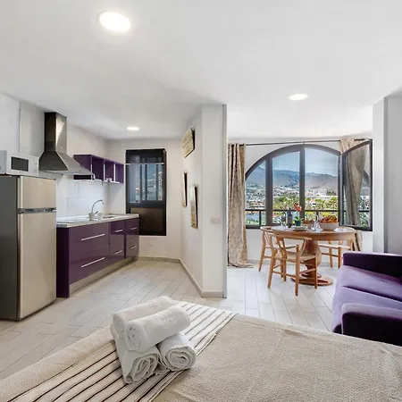 Center Studio Parque Santiago 2 Apartment Arona (Tenerife)